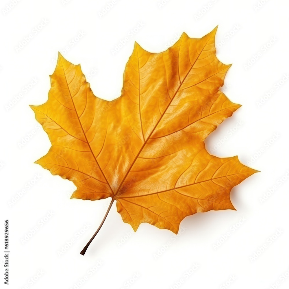 Autumn leaf isolated. Illustration AI Generative. Autumn leaf isolated. Illustration AI Generative.