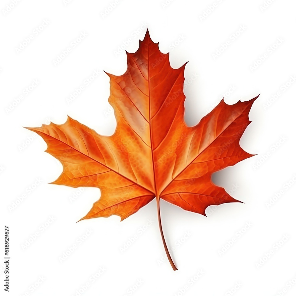 Fototapeta premium Autumn leaf isolated. Illustration AI Generative.