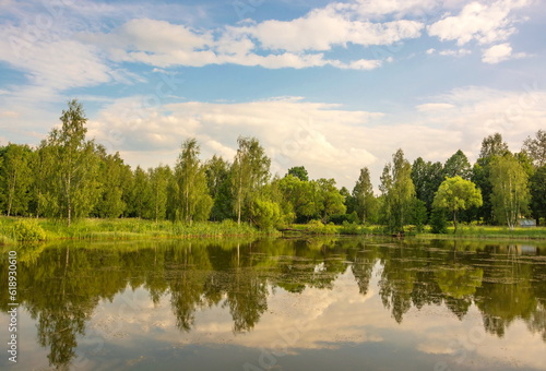 Summer landscape with forest on the lake shore