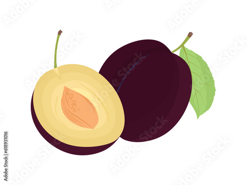 Plums vector. whole and half sweet plum isolated on white background. Flat illustration of fresh plums with green leaf. Vector