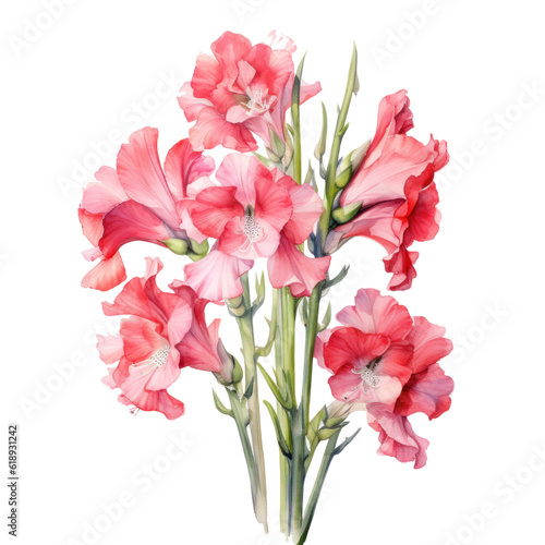 Gladioli watercolor flowers. Illustration AI Generative.