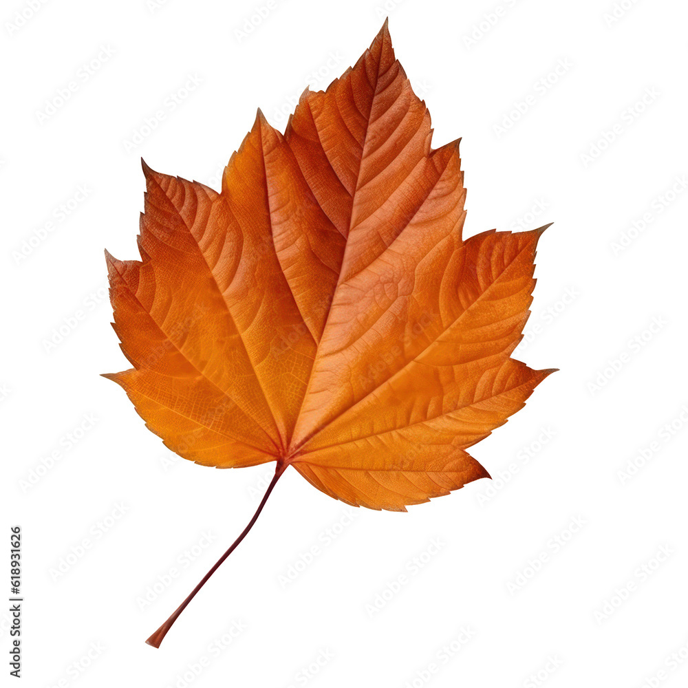 Autumn leaf isolated. Illustration AI Generative.