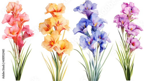 a collection of grunge oil painted gladiolus flowers isolated on a transparent background  generative ai