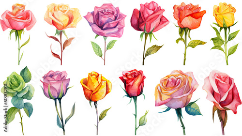 a collection of oil painted roses flowers isolated on a transparent background  generative ai
