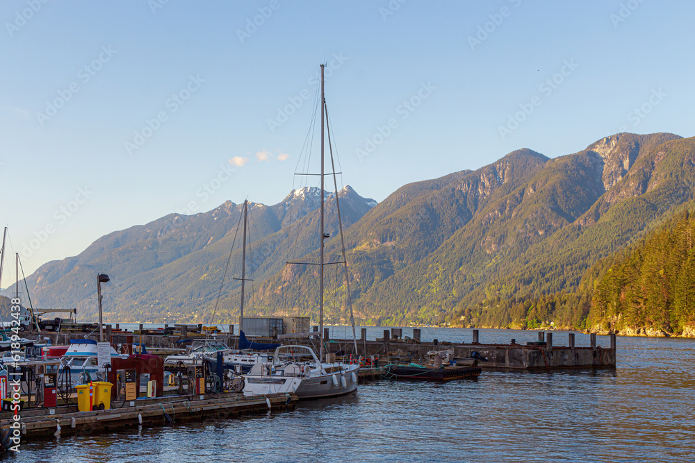 Ship dock with boats and mountain range in the back
