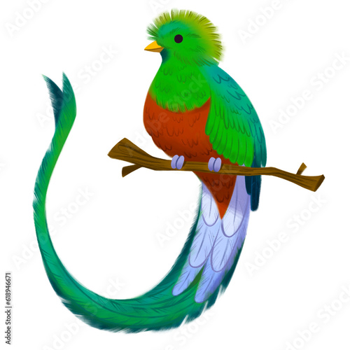 Ilustraci√≥n ave nacional Guatemala quetzal photo