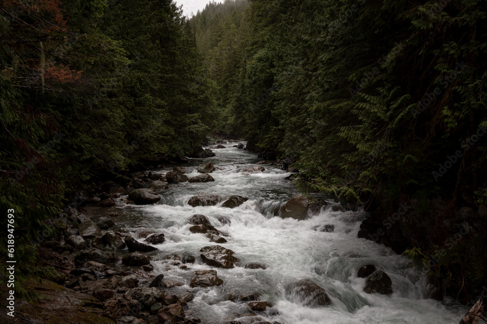 Fototapeta premium waterfall in the woods