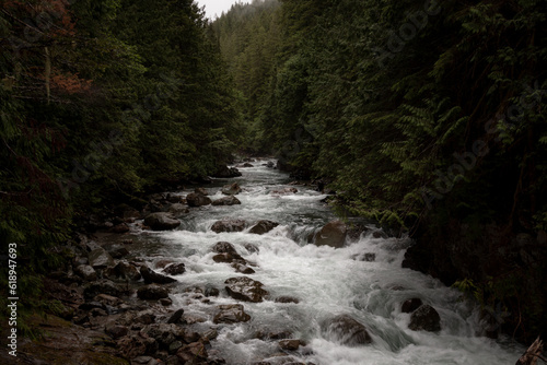 waterfall in the woods