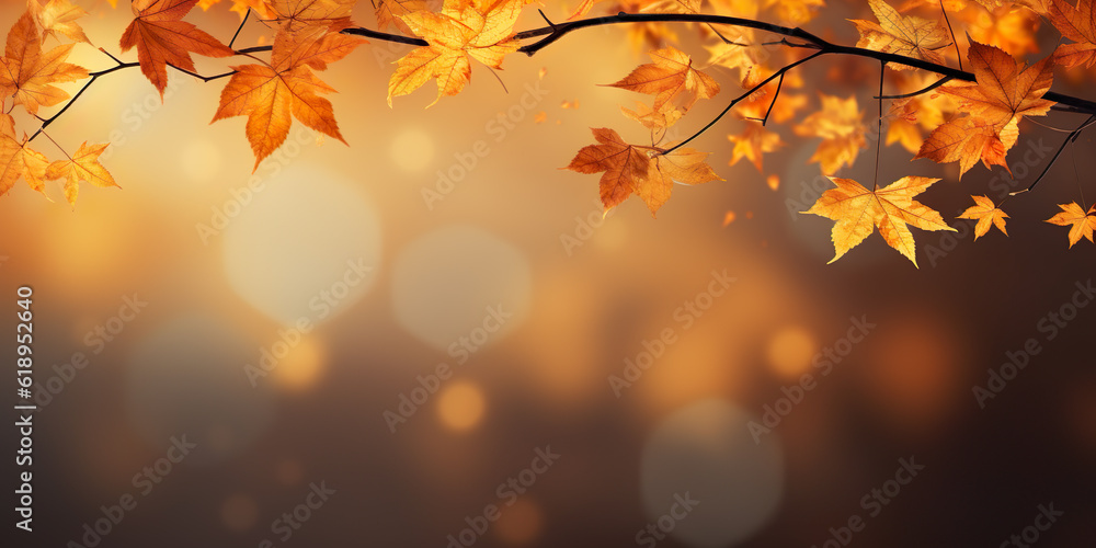 Autumn background with dry leaves, for ad or product Autumn background with dry leaves, for ad or product