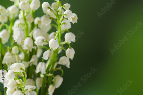 Beautiful lily of the valley flowers on blurred green background, closeup. Space for text