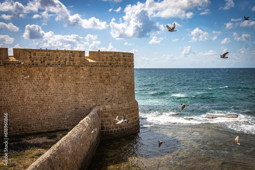 Canvastavla ancient walls of the city of acre, israel, unesco world heritage, middle east, o