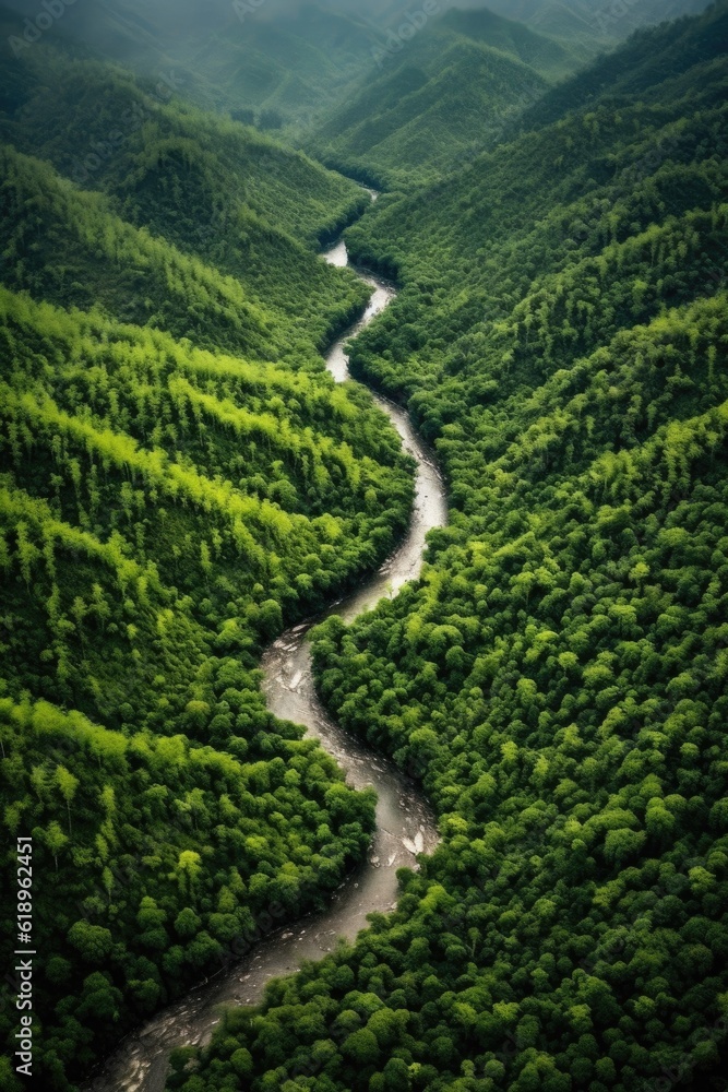 aerial view of lush green forest and winding river, created with generative ai