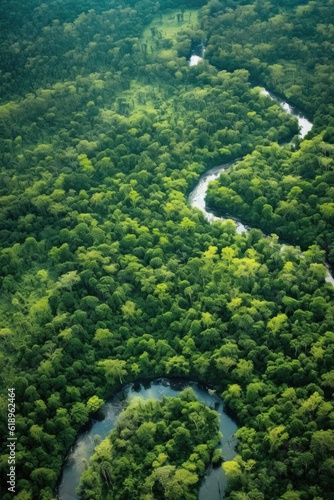 aerial view of a lush green forest with winding river  created with generative ai