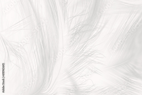 Gray white feather wooly pattern texture background