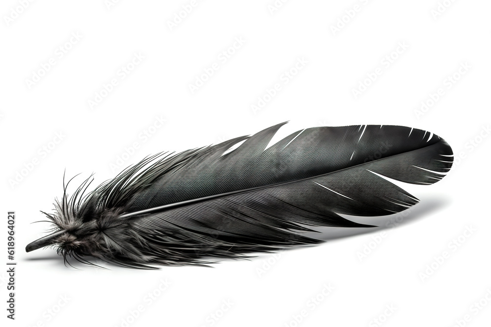 Image of black feather on white background. Illustration, Generative AI. Image of black feather on white background. Illustration, Generative AI.