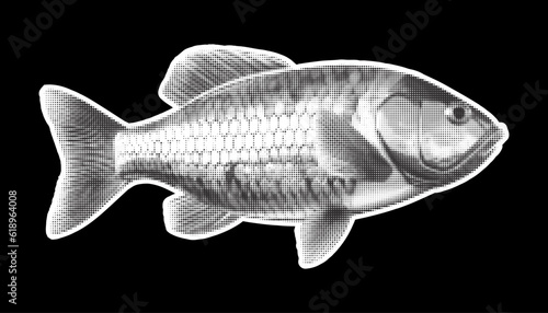 Halftone fish. Collage design element in trendy magazine style. Vector illustration with vintage cutout shape.