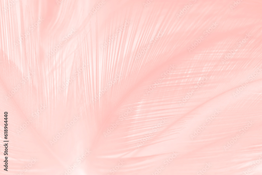 Beautiful soft pink feather pattern texture background Beautiful soft pink feather pattern texture background