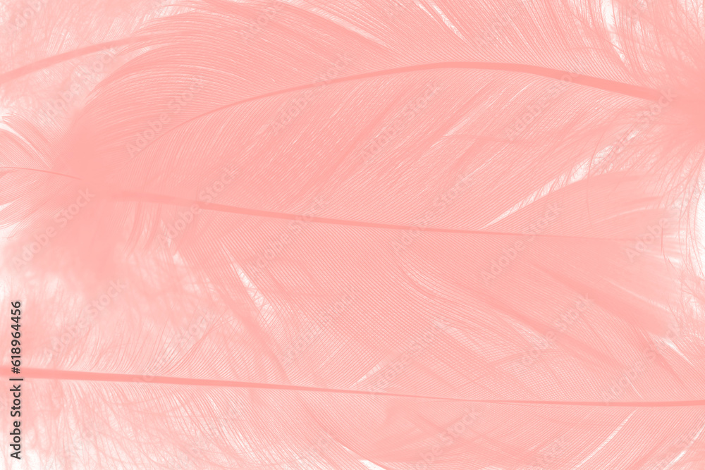 Fototapeta premium Beautiful soft pink white feather pattern texture background