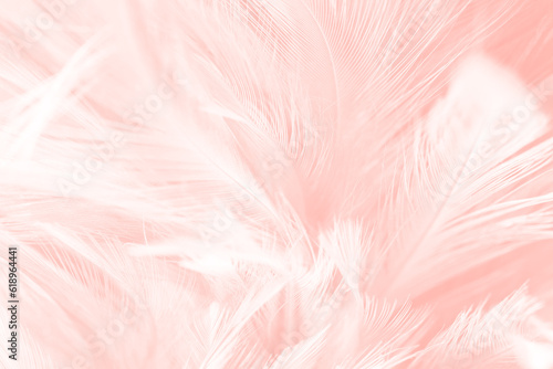 Beautiful soft pink white feather pattern texture background