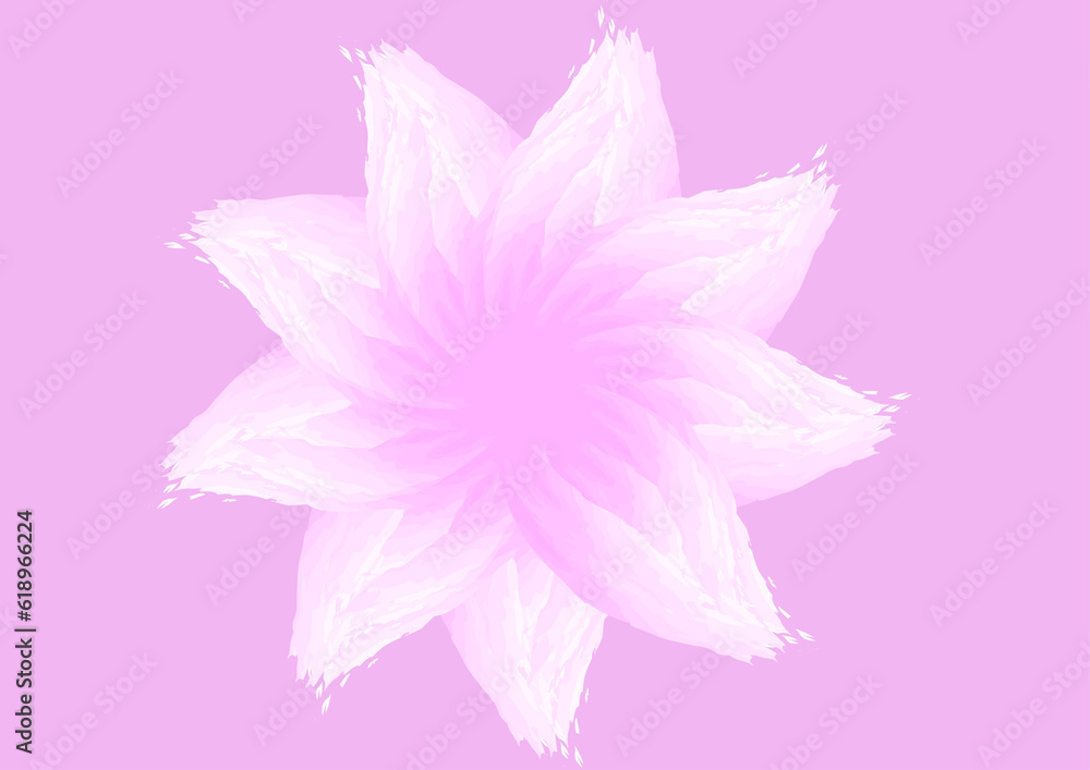 Fototapeta premium pink rose flower