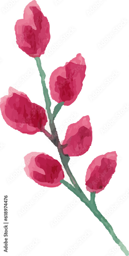 Watercolor flower painting illustration Watercolor flower painting illustration