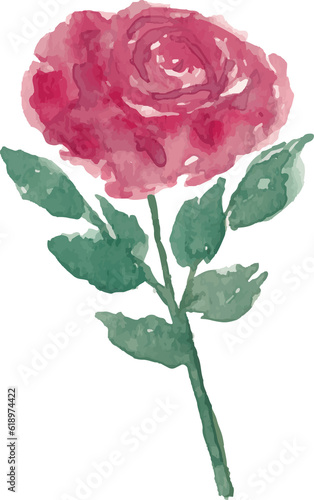 Watercolor flower painting illustration