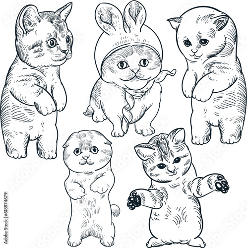 Vintage hand drawn sketch 5 set of stand up play cute kittens