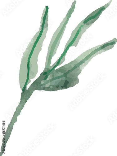 Watercolor flower painting illustration