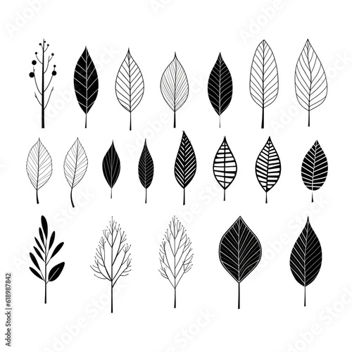 A brush with contrast: creating art inspired by black and white leaves