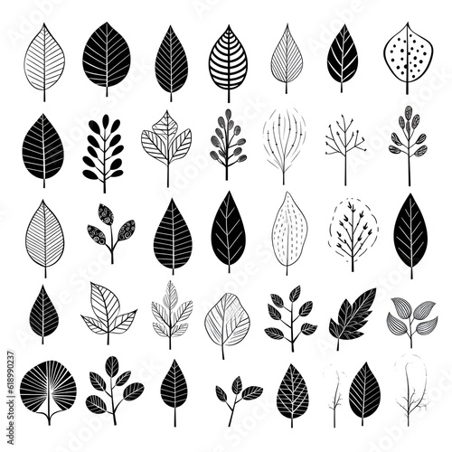 Sketches of simplicity: illustrating the beauty of black and white plant leafs