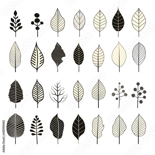 Inked interpretations: illustrating the simplicity of monochromatic foliage