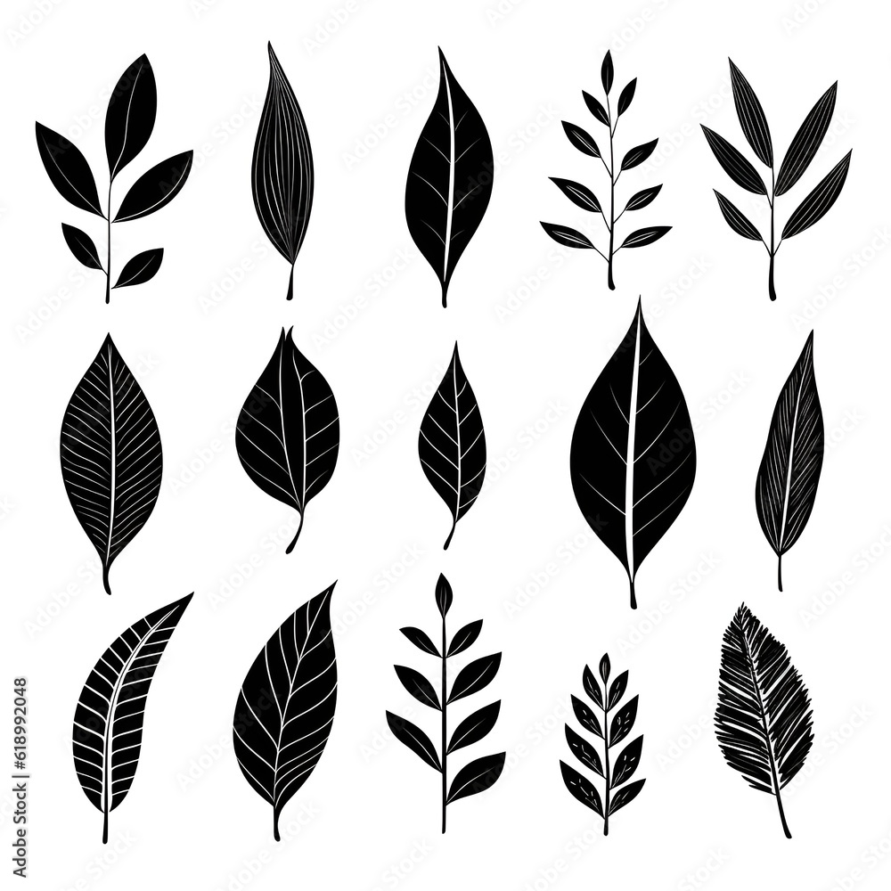 Branches in grayscale: exploring the subtleties of black and white plant leafs