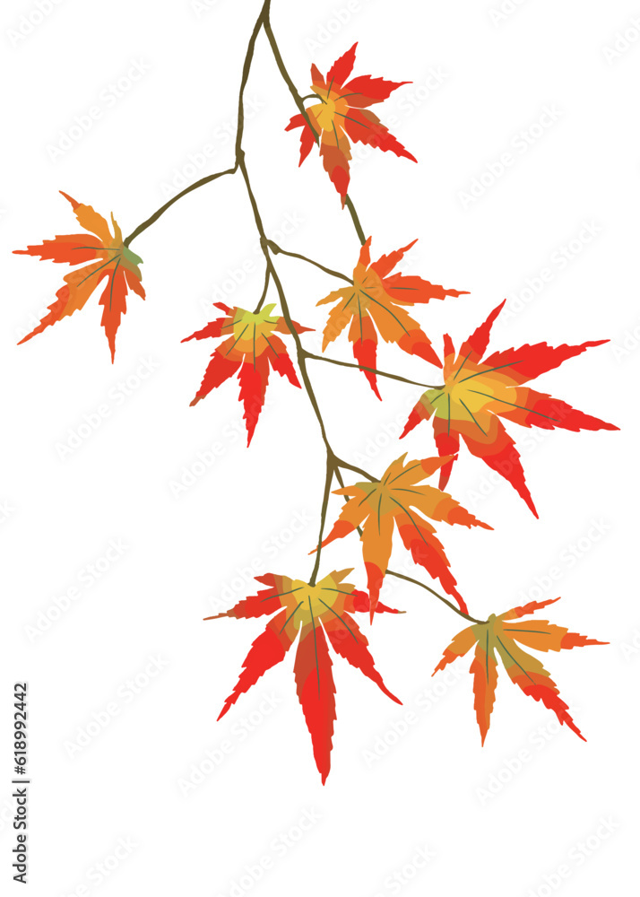色鮮やかな紅葉のイラスト