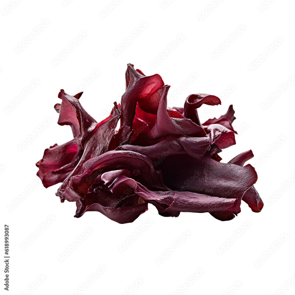 front view of dulse vegetable isolated on transparent white background