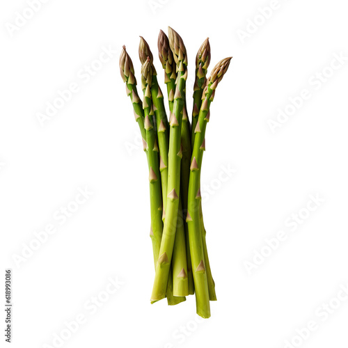 front view of Asparagus vegetable isolated on transparent white background