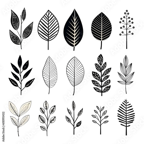 Branches of simplicity: exploring the elegance of black and white plant leafs
