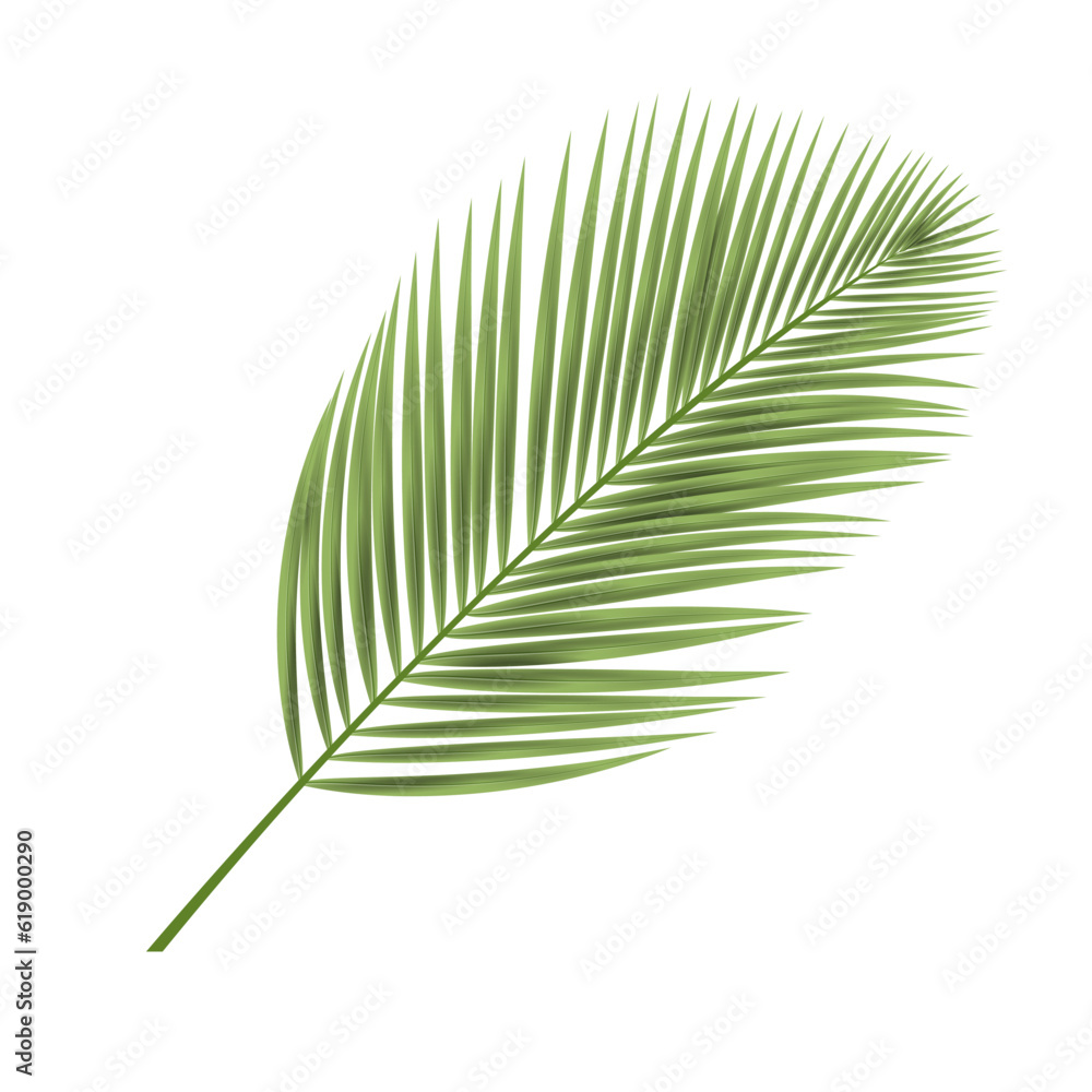 Obraz premium Tropical Leaf on White Background 3D Style
