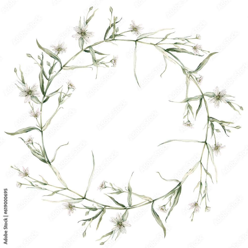 Wreath of white flower meadow, forest flowers. Rabelera holostea, syn. Stellaria holostea.Watercolor hand painting illustration on isolate. , circlet of flowers Wreath of white flower meadow, forest flowers. Rabelera holostea, syn. Stellaria holostea.Watercolor hand painting illustration on isolate. , circlet of flowers