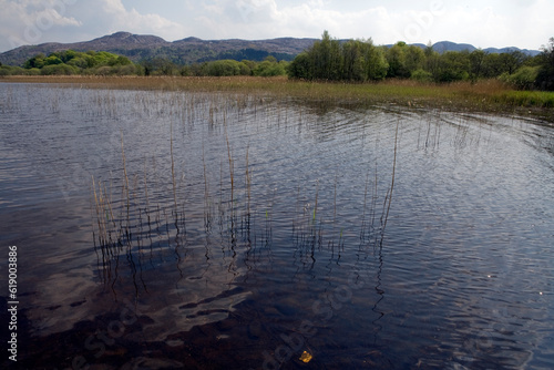 Lough Gill - Sligo - Donegal - Ireland photo