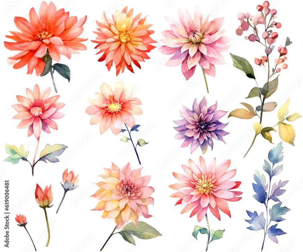 Watercolor Illustration Set of dahlia Flowers, Bouquets and Wildflowers