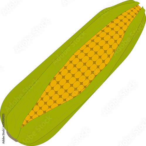옥수수 벡터 일러스트