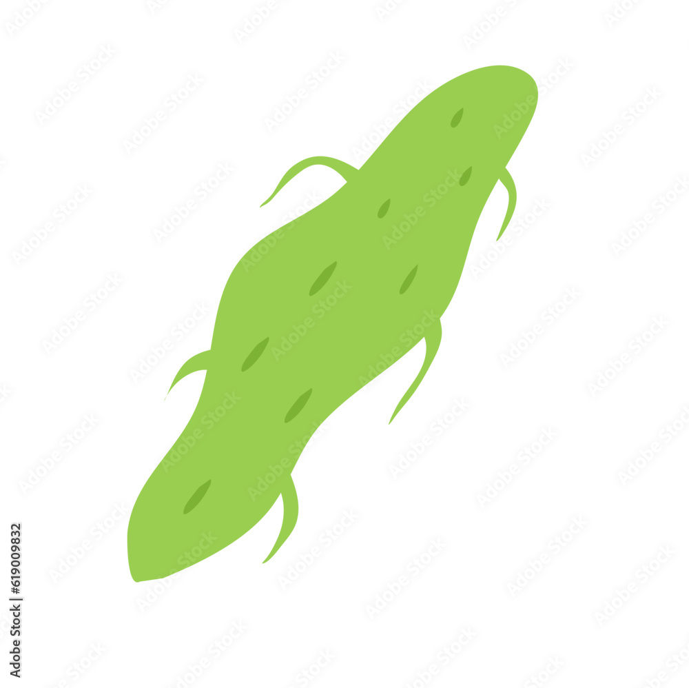 Plankton , Pytoplankton