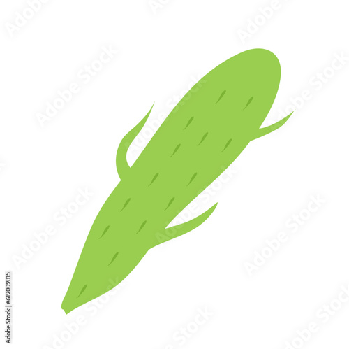 Plankton , Pytoplankton