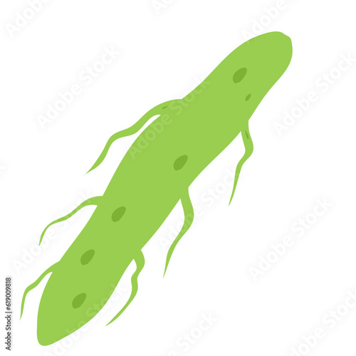 Plankton , Pytoplankton