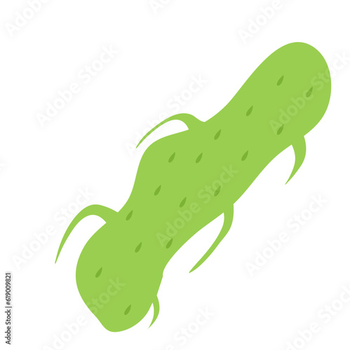 Plankton , Pytoplankton