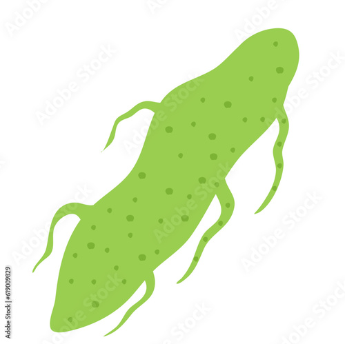 Plankton , Pytoplankton