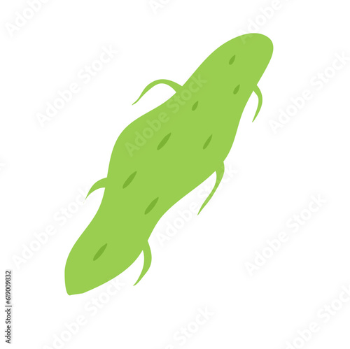 Obraz na płótnie Plankton , Pytoplankton w salonie