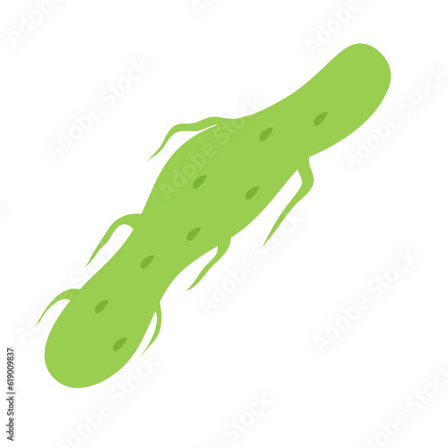 Plankton , Pytoplankton