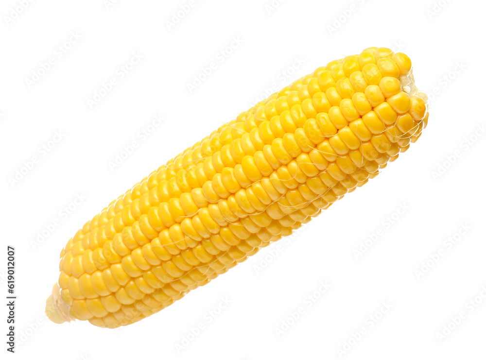Fresh corn cob on white background Fresh corn cob on white background