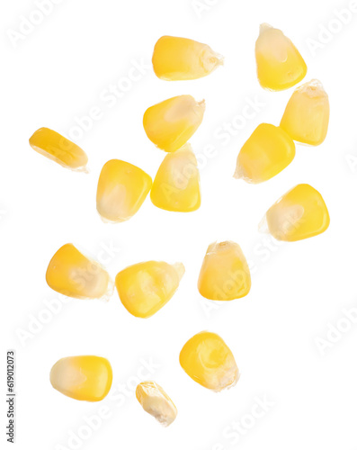 Fresh corn seeds on white background
